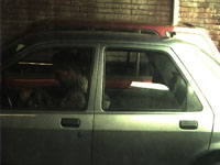 Een viespeuk neukt hoertjes in de parkeergarage en wordt vastgelegd op camera